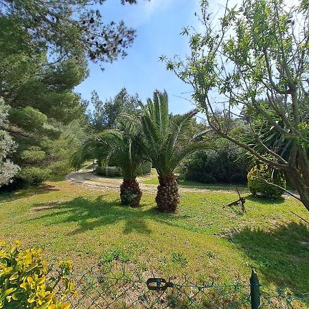 Rez De Jardin Villa Presqu'Ile De Giens Hyères Zewnętrze zdjęcie